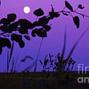 Purple Moon Art Print