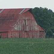 Weathered Red Barn In Kentucky Art Print