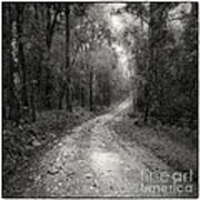 Road Way In Deep Forest #1 Art Print