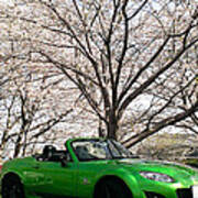 Sakura And Sports Car #1 Art Print