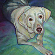 Savannah The Dog #1 Art Print