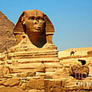 The Great Sphinx Of Giza And Pyramid Of Khafre #2 Art Print