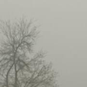 The #tree In The #fog #grid #nofilter #1 Art Print