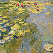 The Waterlily Pond Art Print