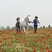 Three At The Poppies' Field... 3 Art Print