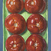 Tomatoes In Green Tray #2 Art Print
