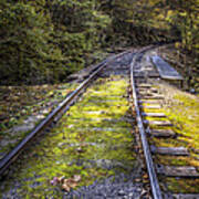 Tracks Along The River #1 Art Print