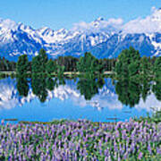 Usa, Wyoming, Grand Teton Park #1 Art Print