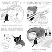 What's Next For The Subway Kittens #1 Art Print