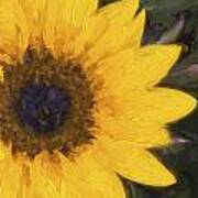 Yellow Sunflower Painterly #2 Art Print