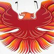 1979 Pontiac Firebird Emblem Art Print