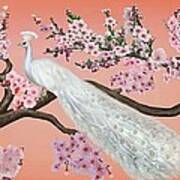 Cherry Blossom Peacock Art Print