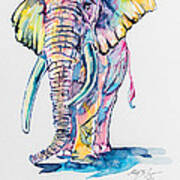 Colorful Elephant #13 Art Print