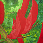 Coral Bean Tree #1 Art Print