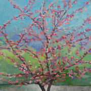 Eastern Redbud Tree #2 Art Print
