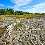 Everglades Coastal Prairies #2 Art Print