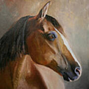 Horse Portrait Ii #2 Art Print