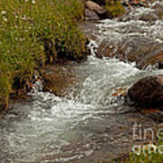 Horseshoe Creek Along Engineer Pass Road #2 Art Print