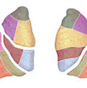 Lungs #2 Art Print
