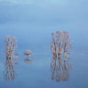 Misty Lake In Spring Art Print