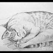 My Pet Cat #2 Art Print