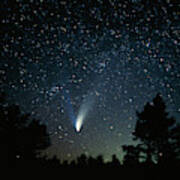 Optical Image Of Comet Hale-bopp #2 Art Print