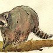 Raccoon #2 Art Print