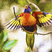 Rainbow Lorikeet #2 Art Print