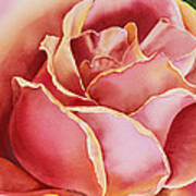 Rose  #1 Art Print