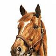 Secretariat #1 Art Print