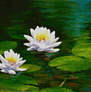 Water Lilies #2 Art Print