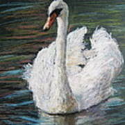 White Swan Art Print