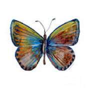 22 Clue Butterfly Art Print