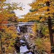 Fall Foliage In Massachusetts Usa #25 Art Print