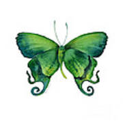 29 Arcas Butterfly Art Print