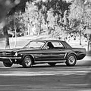 1965 Shelby Prototype Ford Mustang #7 Art Print