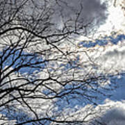 Branches And Clouds  #3 Art Print