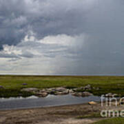 Lions In The Serengeti Art Print