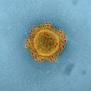 Mers Coronavirus Particles, Tem #3 Art Print