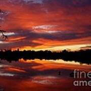 Riparian Sunset #1 Art Print