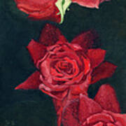 3 Roses Red Art Print