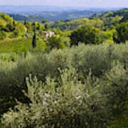 San Gimignano, Tuscany #4 Art Print