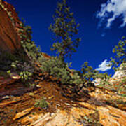 Zion National Park Utah Usa #11 Art Print