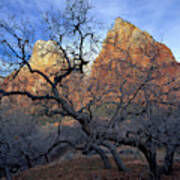 Zion National Park, Utah #40 Art Print