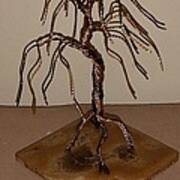 #44 Small And Simple Bonsai Tree Wire Sculpture #44 Art Print