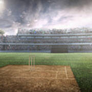Cricket: Cricket Stadium #5 Art Print