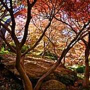 Japanese Gardens #5 Art Print