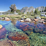 Usa, California, Inyo National Forest #5 Art Print