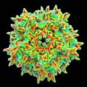 Adeno-associated Virus #6 Art Print
