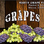Grape Farm #6 Art Print